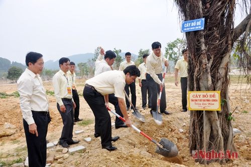 Lãnh đạo Tổng Công ty trồng cây tại Khu di tích lịch sử Truông Bồn