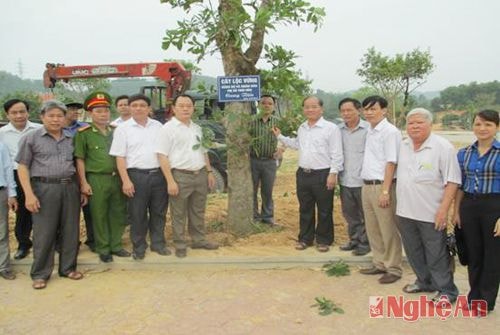 Đoàn đại biểu Thị xã Thái Hòa và các thành viên chụp ảnh lưu niệm bên cây Lộc Vừng tại Truông bồn