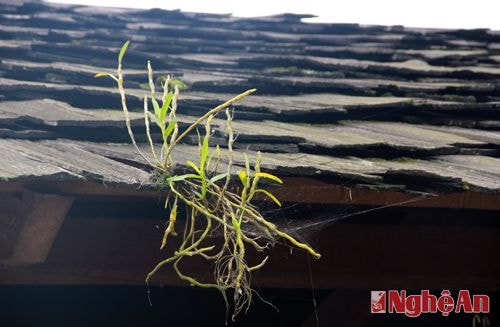 Thắng cảnh ở miền Tây không chỉ do thiên nhiên ban tặng mà còn do con người nơi đây tạo nên (Ảnh chụp tại Nậm Giải – Quế Phong)