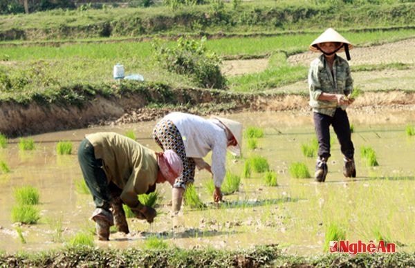 Người dân xóm Kỳ Tân Kỳ