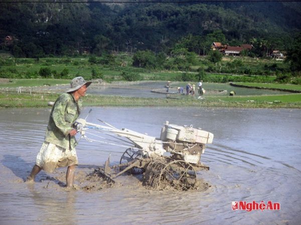 Nông dân xã Chi Khê (Con Cuông)
