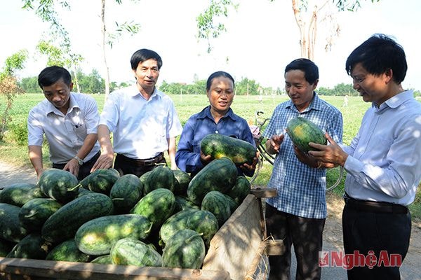 Nông dân vùi mừng báo cáo kết quả chuyển đổi cây trồng với lãnh đạo huyện