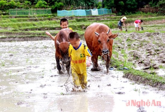 Trẻ em cũng có thể tham gia vào “ốn nà”.