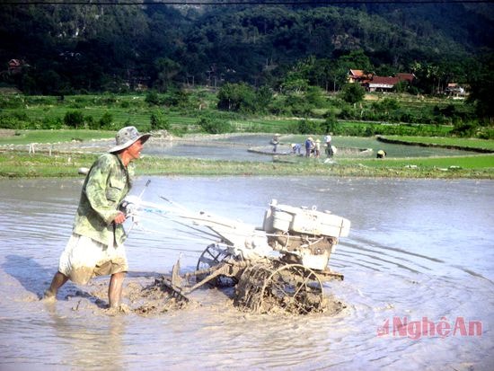 Thuê máy cày về cày ruộng (ảnh chụp tại bản Trung Đình - Chi Khê - Con Cuông).