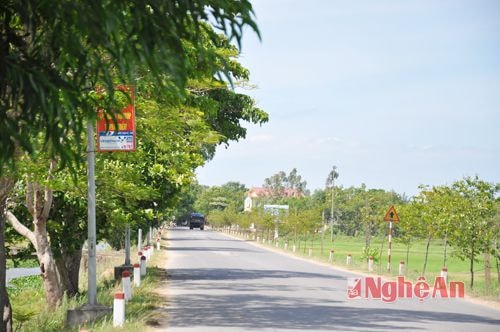 . Tỉnh lộ 558 - con đường rẽ Quốc lộ 46 dẫn từ Thị trấn Hưng Nguyên về các xã Hưng Tân, Hưng Thông, Hưng Xá... nay được mở rộng, rải nhựa phẳng phiu, là một trong những tỉnh lộ đẹp nhất tỉnh, tự bao giờ được mang tên gọi