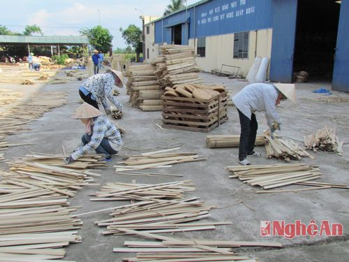 Công ty TNHH Đức Phong phơi nguyên liệu phục vụ sản xuất hàng mây tre đan xuất khẩu