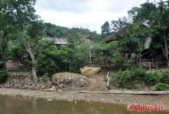 Xung quanh bản mọc nhiều cây đửa (cây sung) nên tên bản được gọi theo tên của loài cây này.