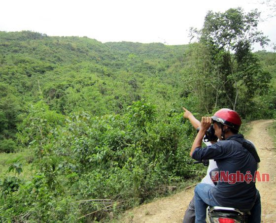 Những ngọn núi cao, hiểm trở trong vùng là địa điểm hoạt động  của các đối tượng buôn bán ma túy.