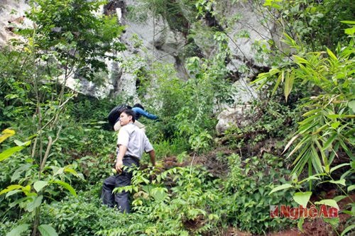 Cửa hang nằm khuất sau những tán cây rừng rậm rạp