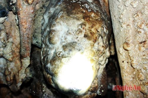 Những gương mặt biểu cảm các cảm xúc khác nhau.