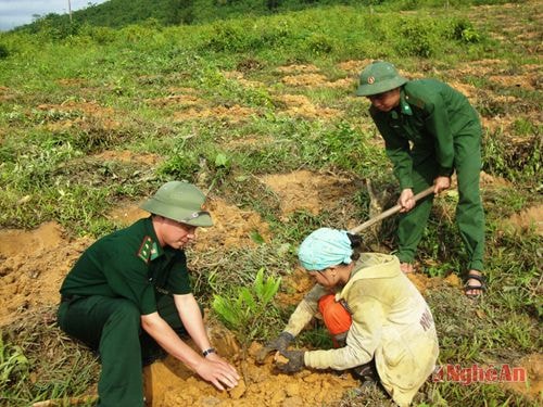 BĐBP Nghệ An giúp dân phát triển mô hình kinh tế.