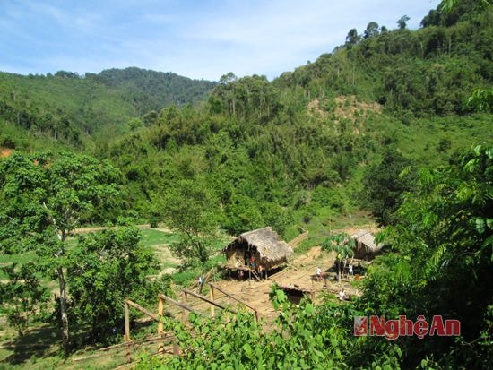 Khu vực lán của gia đình anh Thọ 
