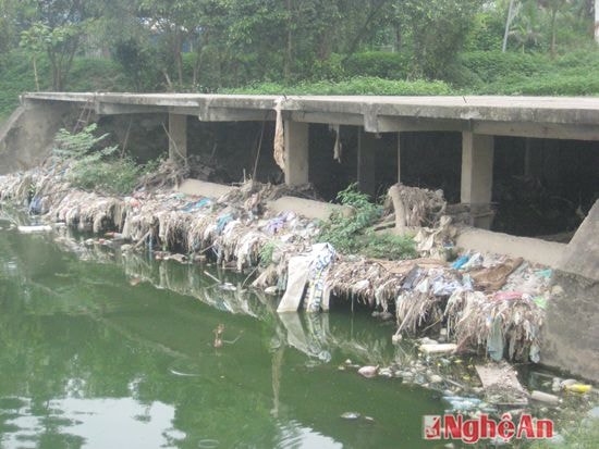 Xả thải nước bẩn xuống hồ trung tâm ở TP Vinh