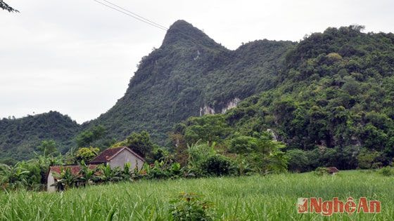 Hang Bò nằm trong dãy núi đá vôi ở bản Yên Hòa (Hoa Sơn), phía trước là thung thũng khá bằng phẳng, là nơi canh tác của người dân địa phương.