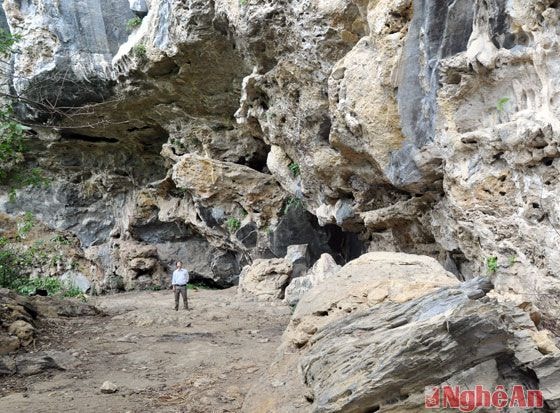Hang Bò có diện tích khá rộng, trần và vách hang khá cao, rất mát vào mùa Hè.