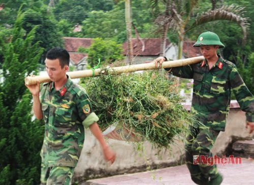 Các cán bộ, chiến sỹ Trung đoàn 335 tích cực tham gia làm vệ sinh môi trường tại nghĩa trang