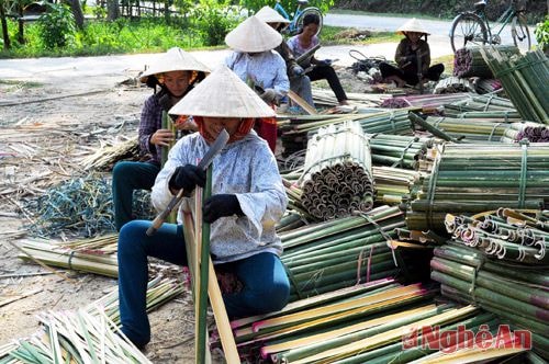 Sơ chế nứa lùng