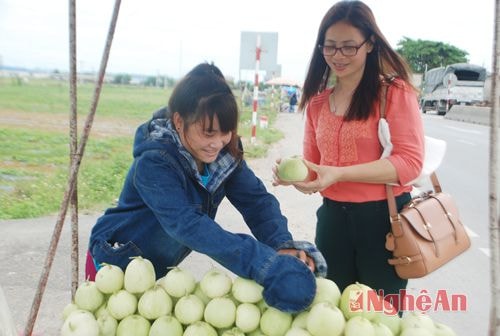  Dưa không chỉ được bán ngay tại ruộng mà còn được  bày bán hai bên đường quốc lộ với giá 20 nghìn