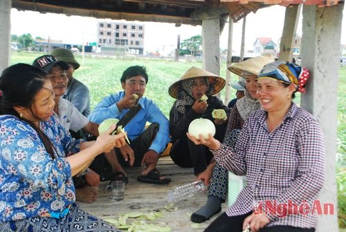  Sau những giờ làm việc mệt nhọc, người dân trồng dưa lại mời nhau sản phẩm do chính bàn tay mình làm ra.