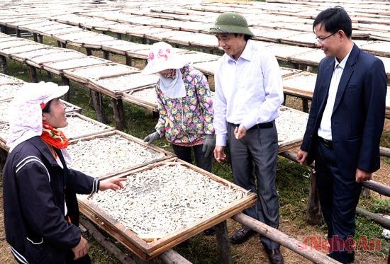 Lãnh đạo Thị ủy Hoàng Mai trao đổi với bà con làng nghề chế biến hải sản phường Quỳnh Phương. Ảnh: Sỹ Minh