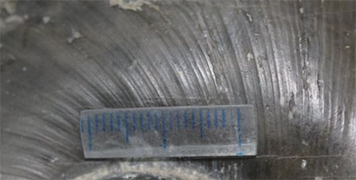 Cấu tạo vỏ của Naticopsis spp..