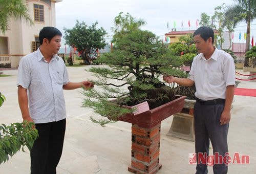 Đại biểu xem triển lãm sinh vật cảnh chào mừng đại hội