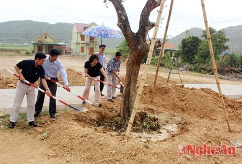 Lãnh đạo Bảo hiểm xã hội Việt Nam và tỉnh Nghệ An trồng cây cung tiến trong khuôn viên Khu di tích lịch sử Truông Bồn.