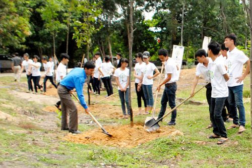 Chương trình quỹ 1 triệu cây xanh cho Việt Nam 3 năm qua đã tác động tích cực đến ý thức trồng và bảo vệ cây xanh, bảo vệ cảnh quan môi trường của đông đảo thanh niên.