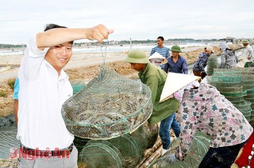 Kiểm tra tôm