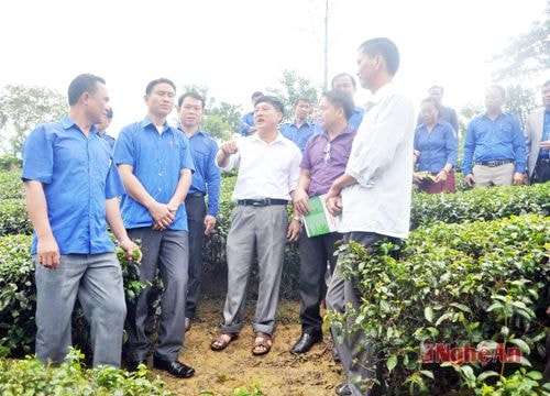 Tham quan mô hình kinh tế gia đình anh Hà Văn Dương- Thanh Thủy, Thanh Chương