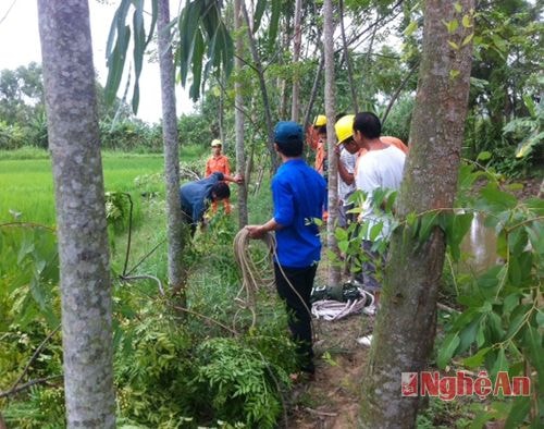 Lực lượng TNTN và nahan viên chi nhánh điện lực Quỳnh Lưu giải tỏa các khu vực gây mất an toàn lưới điện