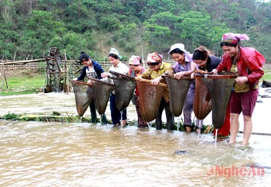 Phụ nữ dùng chiếc vinh đi xúc cá.