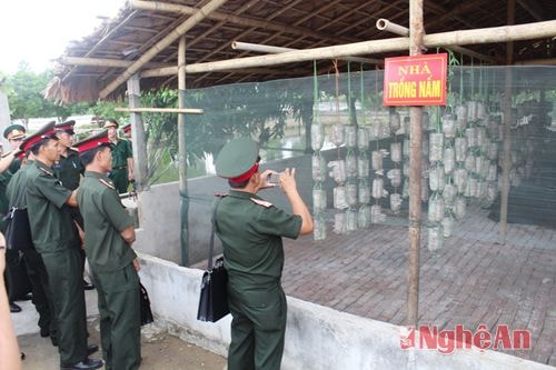 Tham quan mô hình trồng nấm ở Trung đoàn 764