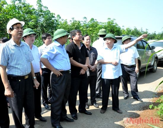 Các đồng chí lãnh đạo tỉnh trao đổi với lãnh đạo  TX. Thái Hòa về định hướng mở rộng  đô thị.  Ảnh: H.N