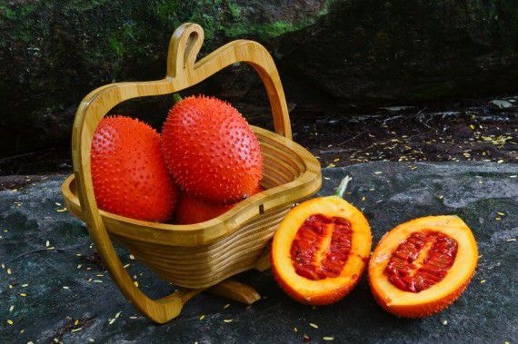 Chất lycopene trong cà chua có khả năng phòng chống ung thư