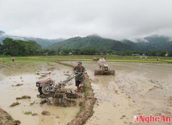  Bà con tập  trung làm đất bằng máy cày