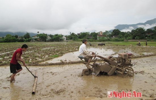 Cách làm đất vụ mùa ở Quế Phong