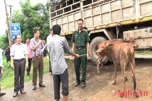  Đại diện