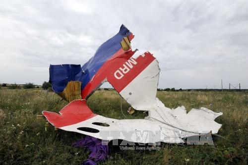 Xác máy bay MH17 tại Shaktarsk, miền Đông Ukraine ngày 18/7/2014. Ảnh: AFP/TTXVN