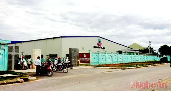Nhà máy may xuất khẩu MLB Tenergy Company Limitted.Ảnh: Anh Tuấn
