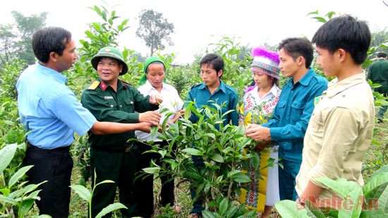 Cán bộ Đoàn 4 hướng dẫn người dân chăm sóc chè Shan tuyết.