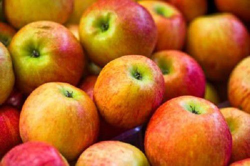 Hàm lượng chất xơ và đường tự nhiên trong táo giúp bổ sung năng lượng cho người bị tiêu chảy. Ảnh: Livestrong.