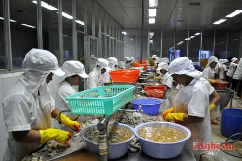 Công nhân Công ty CP XNK Thủy sản Nghệ An II chế biến tôm xuất khẩu.