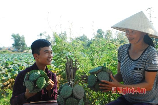 Khách mua sen khi vừa thu hái xong