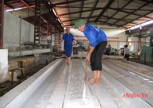 Chế biến cao su ở Công ty TNHH MTV Nông nghiệp Sông Con. Ảnh: châu Lan