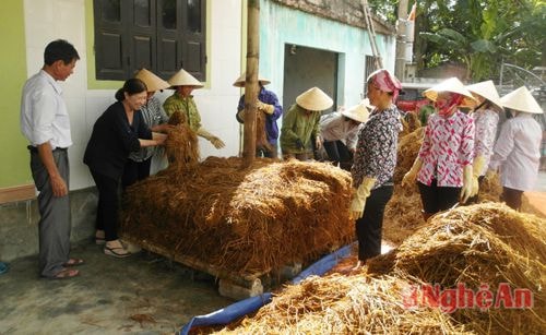 các giảng viên giới thiệu cách trồng nấm