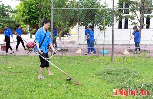 Cắt cỏ và vệ sinh sân bóng.