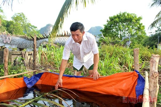 Ông Nguyễn Trung Thịnh  kiểm tra ếch giống.