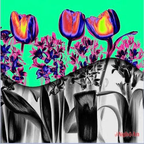 “Màu và đen trắng - Pop-Art”.