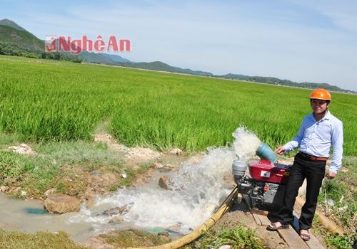 Cán bộ phòng nông nghiệp huyện Hưng Nguyên chỉ đạo bơm nước tưới tiêu tại Hưng Yên Nam